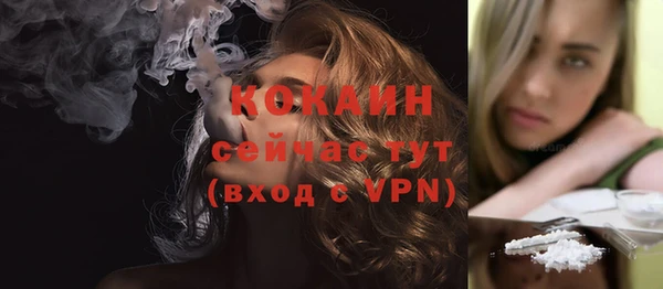 винт Туринск