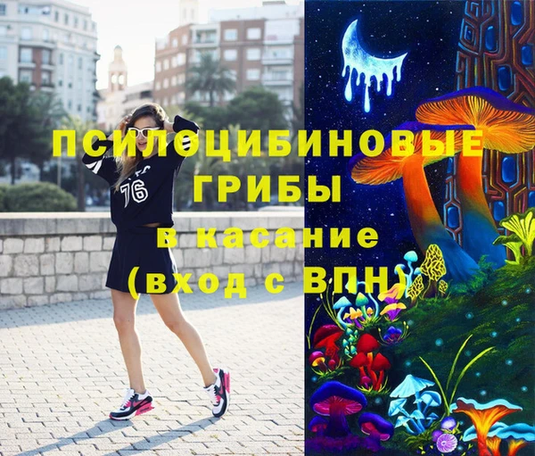 ГАЛЛЮЦИНОГЕННЫЕ ГРИБЫ Тутаев